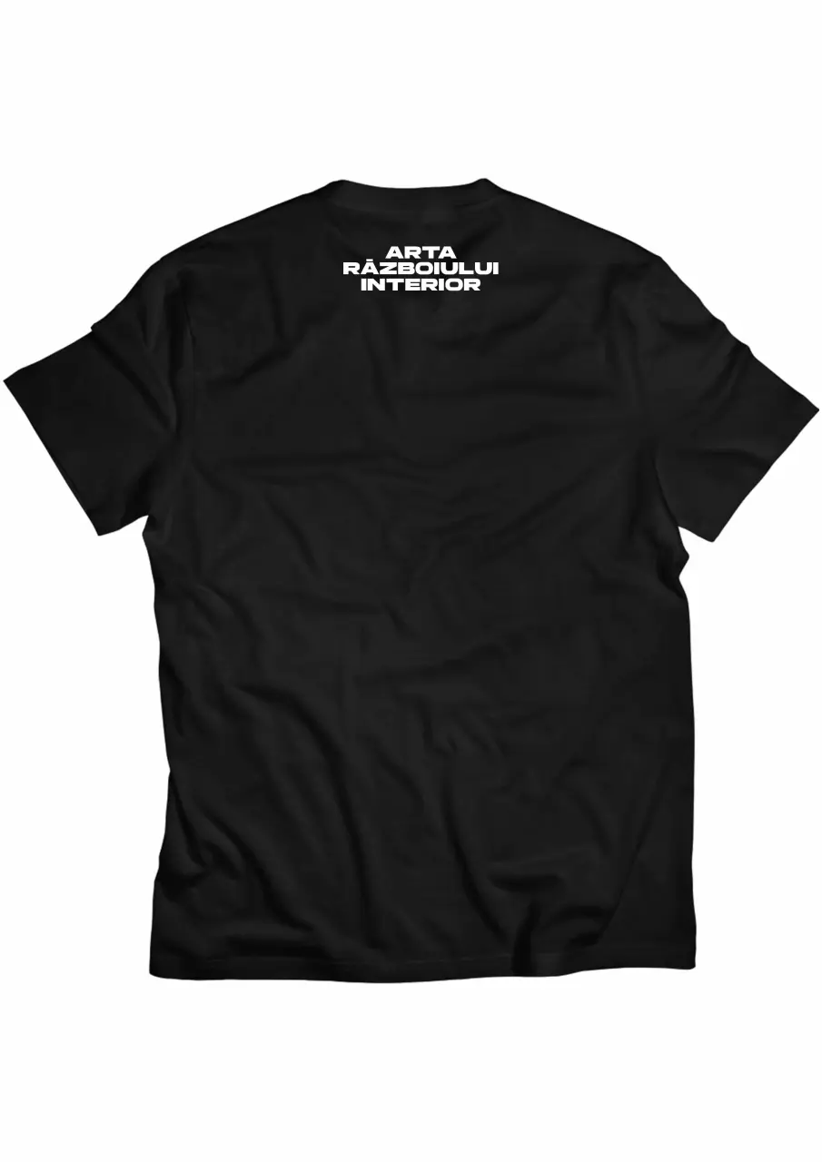 arta razboiului back.jpg